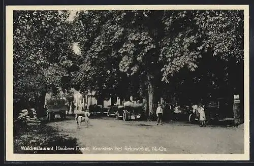 AK Sieghartskirchen, Kronstein, Waldrestaurant Haubner Erhart, parkende Autos, Hund auf der Strasse