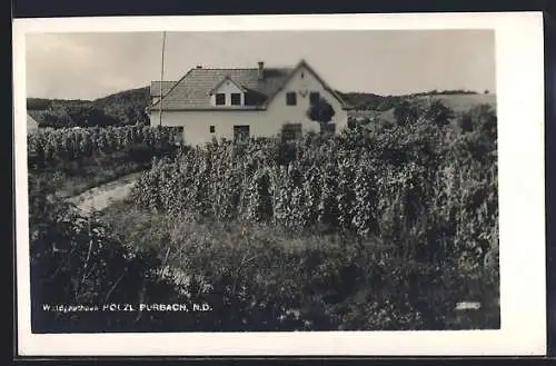 AK Purbach /N. D., Waldgasthaus Hölzl mit Weingarten