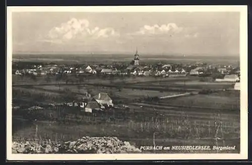 AK Purbach a. Neusiedlersee, Fernsicht der Ortschaft