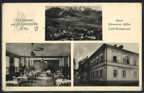 AK Puchberg am Schneeberg, Hotel Schwarzer Adler, Panorama