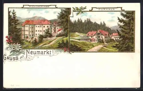 Lithographie Neumarkt in Steiermark, Pichlschloss, Blickzum Curhaus