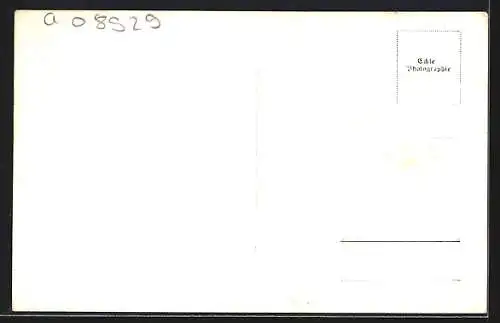 AK Dalaas a. A., Ortsansicht aus der Vogelschau