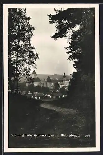 AK Heidenreichstein, Blick vom Waldweg zum Ort mit der Burg Heidenreichstein u. der Pfarrkirche hl. Margareta