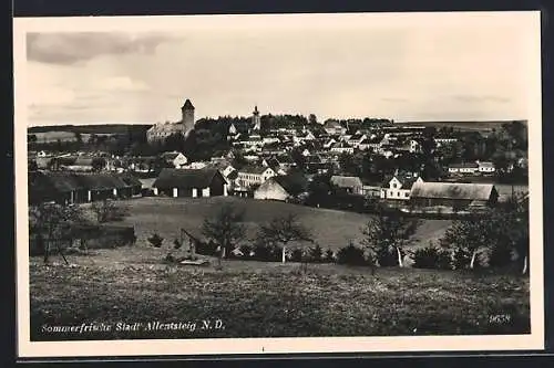 AK Allentsteig, Blick auf die Stadt