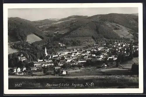 AK Aspang /N.-D., Teilansicht mit Schloss