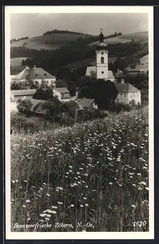 AK Zöbern /N.-Oe., Blick von einer Sommerwiese auf die Kirche