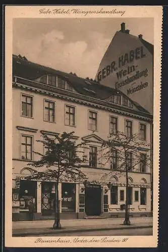 AK Berlin, Restaurant Gebr. Habel Weinstube & Weingrosshandlung, Stammhaus, Unter den Linden 30