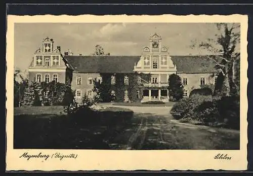 AK Meyenburg /Prignitz, Allee zum Schloss