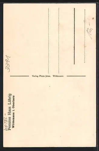 AK Wildemann i. Oberharz, Hotel-Pension Haus Lührig mit Garten