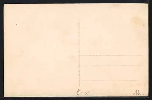 AK Steinfeld /Kärnten, Radlach, Erholungshotel Ranner mit Pfau