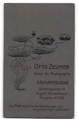 Fotografie Otto Zeumer, Crimmitschau, Jacobsgasse 14, Porträt einer Frau in elegantem Kleid