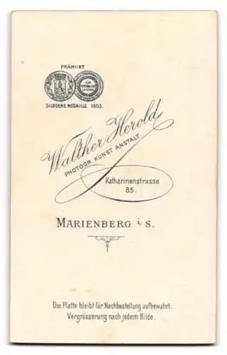 Fotografie Walther Herold, Marienberg i. S., Katharinenstrasse 85, Porträt einer Dame mit Pelz