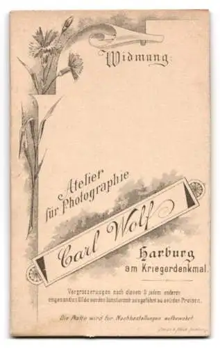 Fotografie Carl Wolf, Harburg, Junge im Anzug