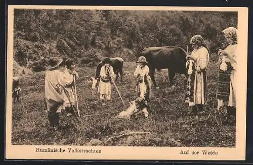 AK Rumänische Bauern in Volkstrachten auf der Weide