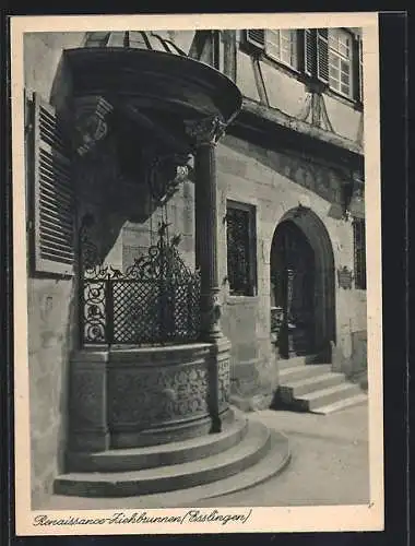 AK Esslingen / Neckar, Renaissance-Ziehbrunnen