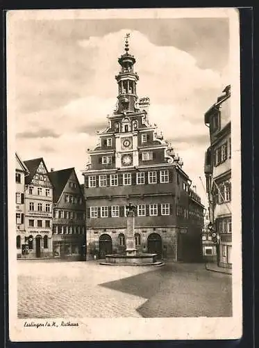 AK Esslingen a. N., Rathaus mit Homöopathischer Zentral Apotheke und Brunnen