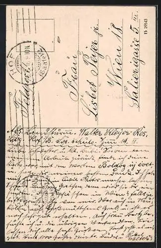 AK Hof i. B., Strassenpartie mit Rathaus und Litfasssäule