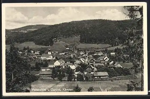 AK Weitensfeld i.Gurktal, Ortsansicht mit Kirche