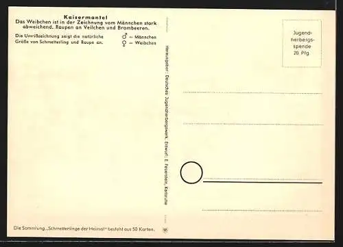 AK Schmetterling der Art Kaisermantel mit Raupenform