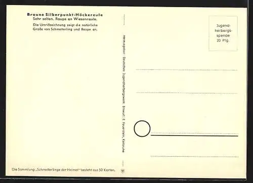 AK Schmetterlinge der Heimat, Braune Silberpunkt-Höckereule, Plusia V-argentum Esp.