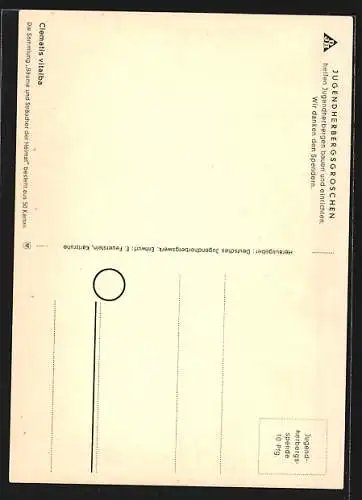 Künstler-AK Blühende Waldrebe, Clematis vitalba, Bäume und Sträucher der Heimat