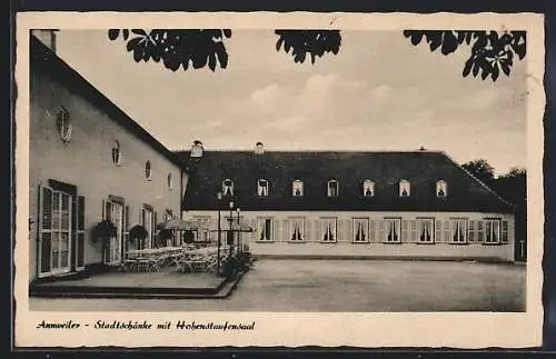 AK Annweiler, Gasthof Stadtschänke mit Hohenstaufensaal