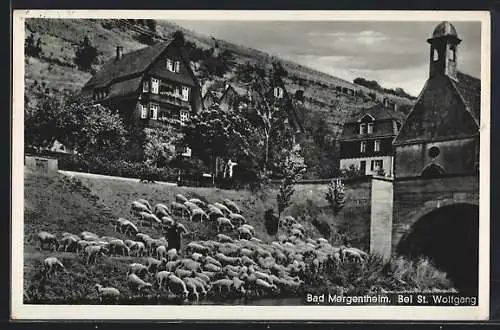 AK Bad Mergentheim, bei St. Wolfgang mit Haus Regina