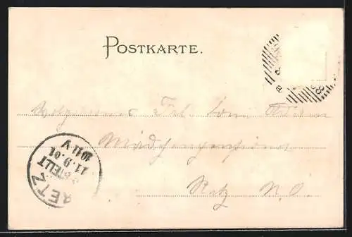 Lithographie Wien, Stadtleben am Oper