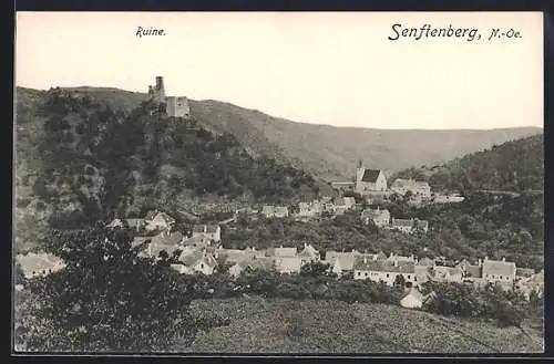 AK Senftenberg, Panoramablick mit Ruine