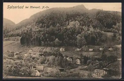 AK Kleinzell /N.-Oe., Salzerbad, Blick aus der Vogelschau auf den Ort