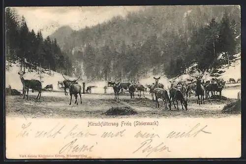AK Frein, Hirschfütterung im Winter