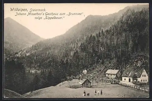 AK Wildalpen, Ansicht Gasthaus zum Brunnsee