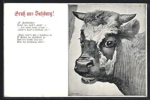 AK Salzburg, Der Salzburger Stier mit Gedicht