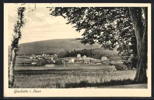 AK Glashütte / Lippe, Waldpartie mit Blick auf die Stadt und Gasthaus Waldfrieden