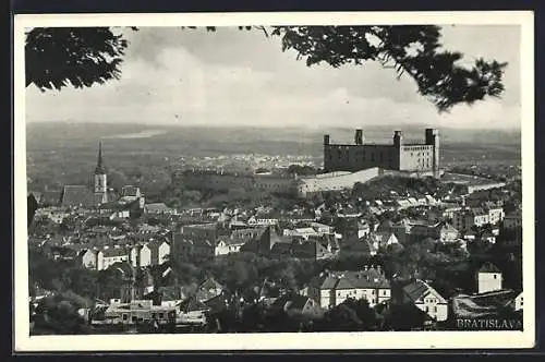 AK Bratislava, Panorama mit Burg