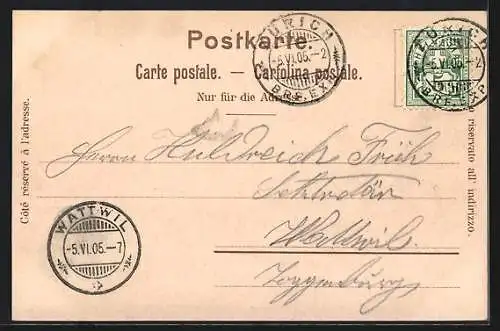 Lithographie Zürich, Waldhaus Dolder mit Bahn und Umgebung