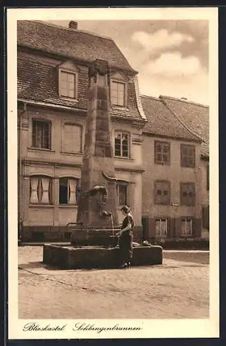 AK Blieskastel, Partie am Schlangenbrunnen