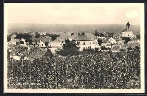 AK Oggau /Burgenland, Ortsansicht vom Berg aus