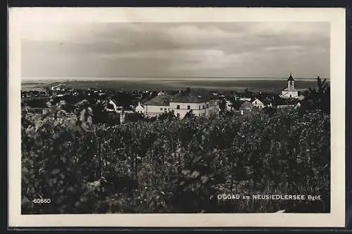 AK Oggau am Neusiedlersee, Ortsansicht vom Weinberg gesehen