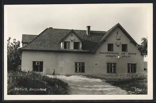 AK Purbach /Burgenland, Waldpension am Spitz Johann Hölzl mit Zufahrt