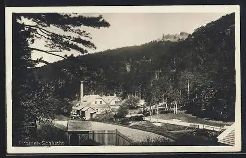 AK Winzendorf an der Schneebergbahn, Prosset-Schlucht, Ortsansicht