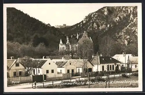 AK Winzendorf a. d. Schneebergbahn, Teilansicht der Ortschaft mit Burg