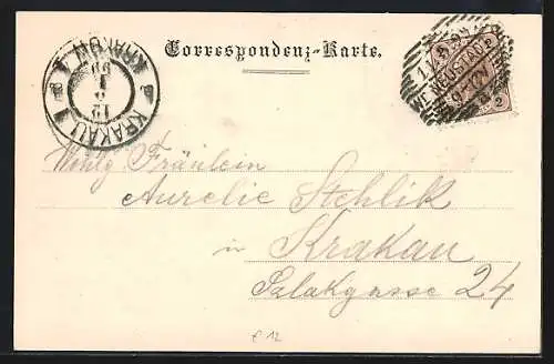 AK Wr.-Neustadt, Teilansicht aus der Vogelschau