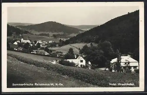 AK Raisenmarkt, Blick mit Hirschhofer