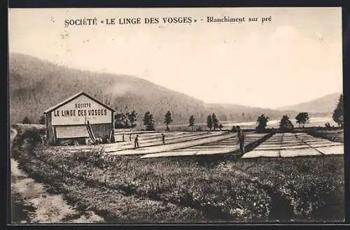 AK Gérardmer /Vosges, Société Le Linge des Vosges, Blanchiment sur pré