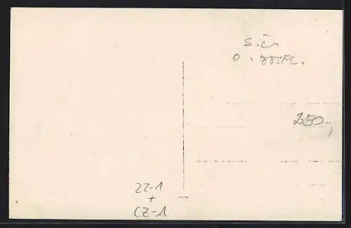 AK Teplitz, Ortsansicht mit Synagoge