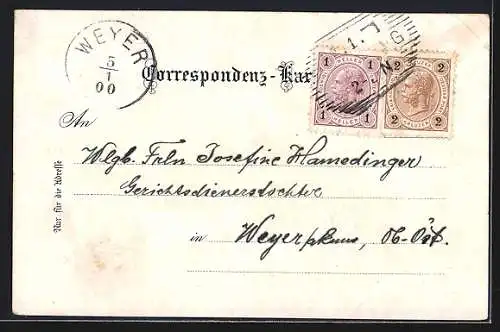 Lithographie Haibach ob der Donau, Steinwand, Ruine Stauf, C. Helletsgruber's Gasthaus