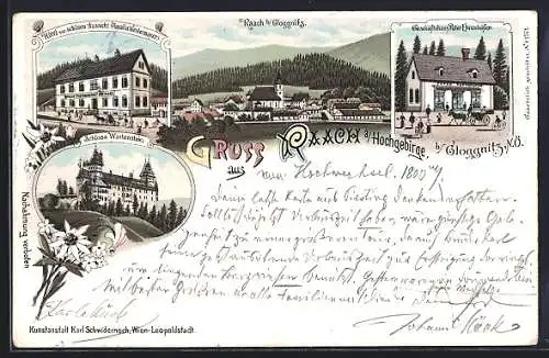 Lithographie Raach a. Hochgebirge, Schloss Wartenstein, Hotel zur schönen Aussicht, Ortsansicht