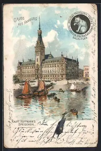 Lithographie Hamburg, Rathaus vom Wasser aus, Werbung Hoffmanns Stärkefabriken mit Logo