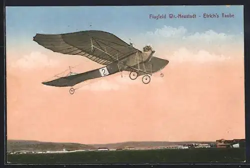 AK Wr.-Neustadt, Flugfeld Wr.-Neustadt mit Flugzeug Etrich`s Taube